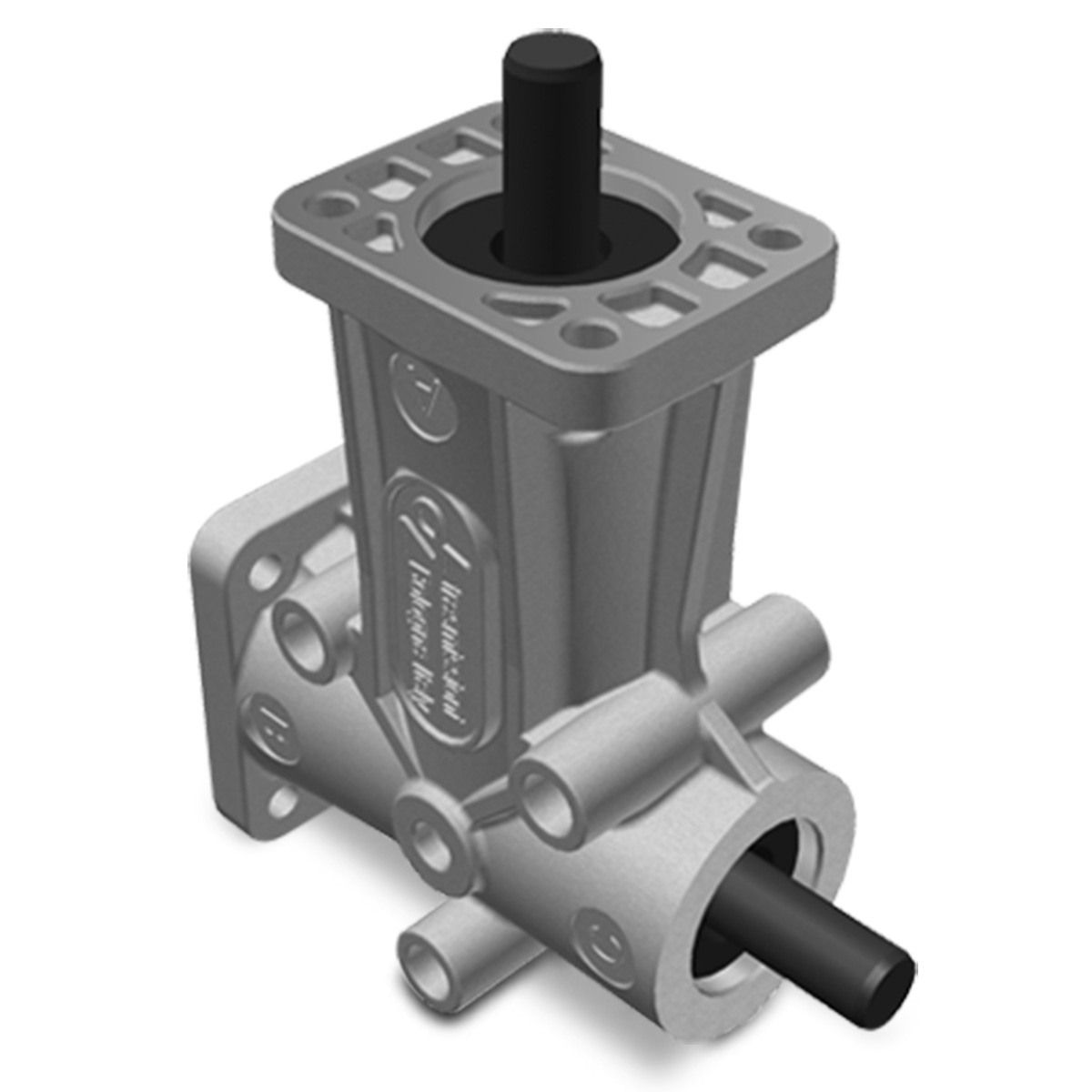 Taille 1 – Brides 2