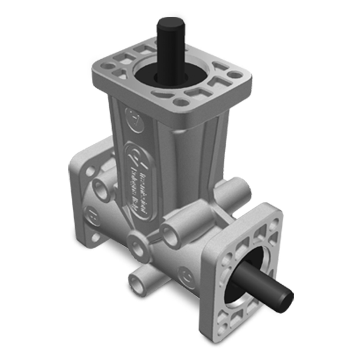 Taille 1 – Brides 3