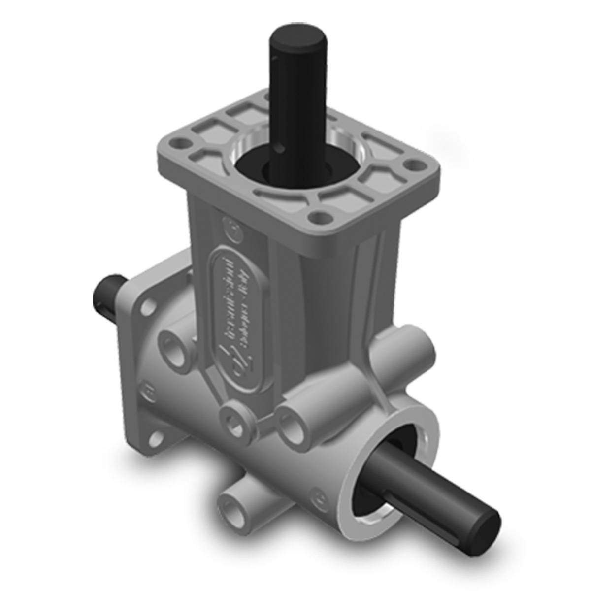 Taille 2 – Brides 2