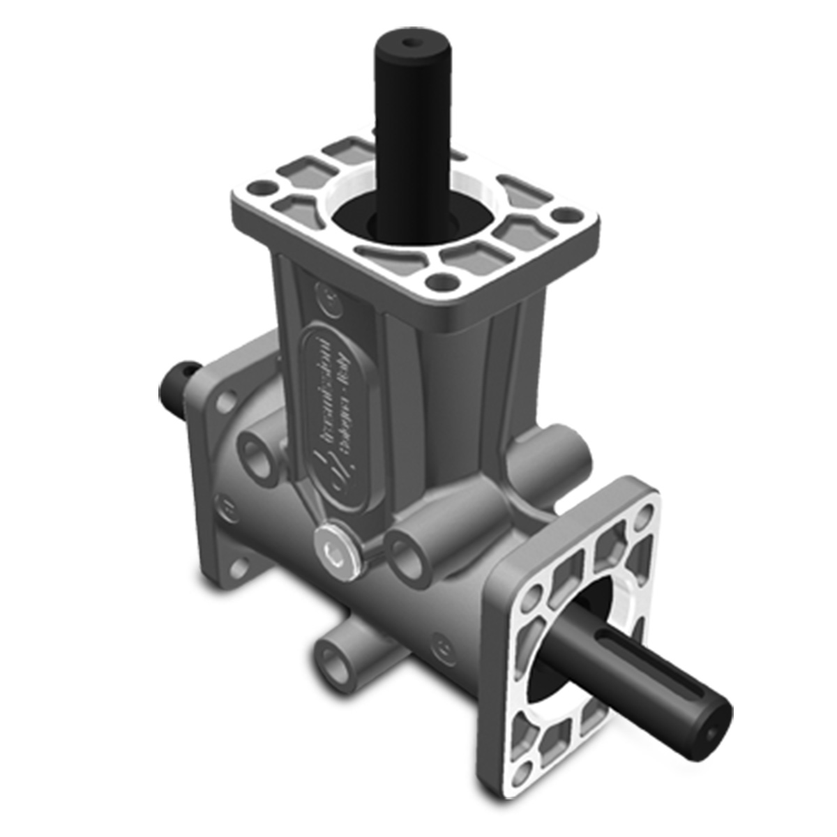 Taille 2 – Brides 3