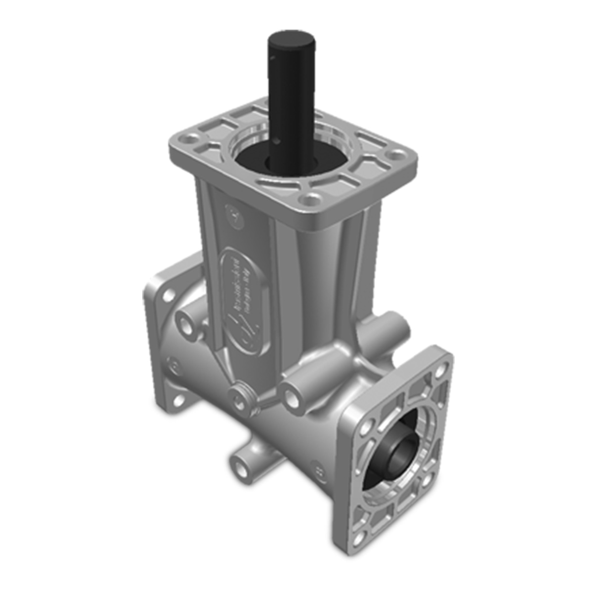 Taille 3 – Arbre Creux