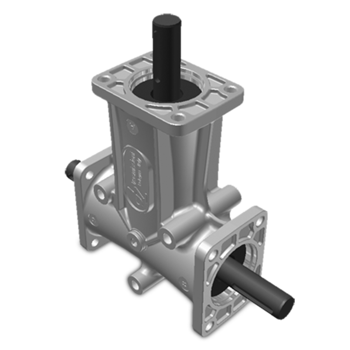 Taille 3 – Brides 3