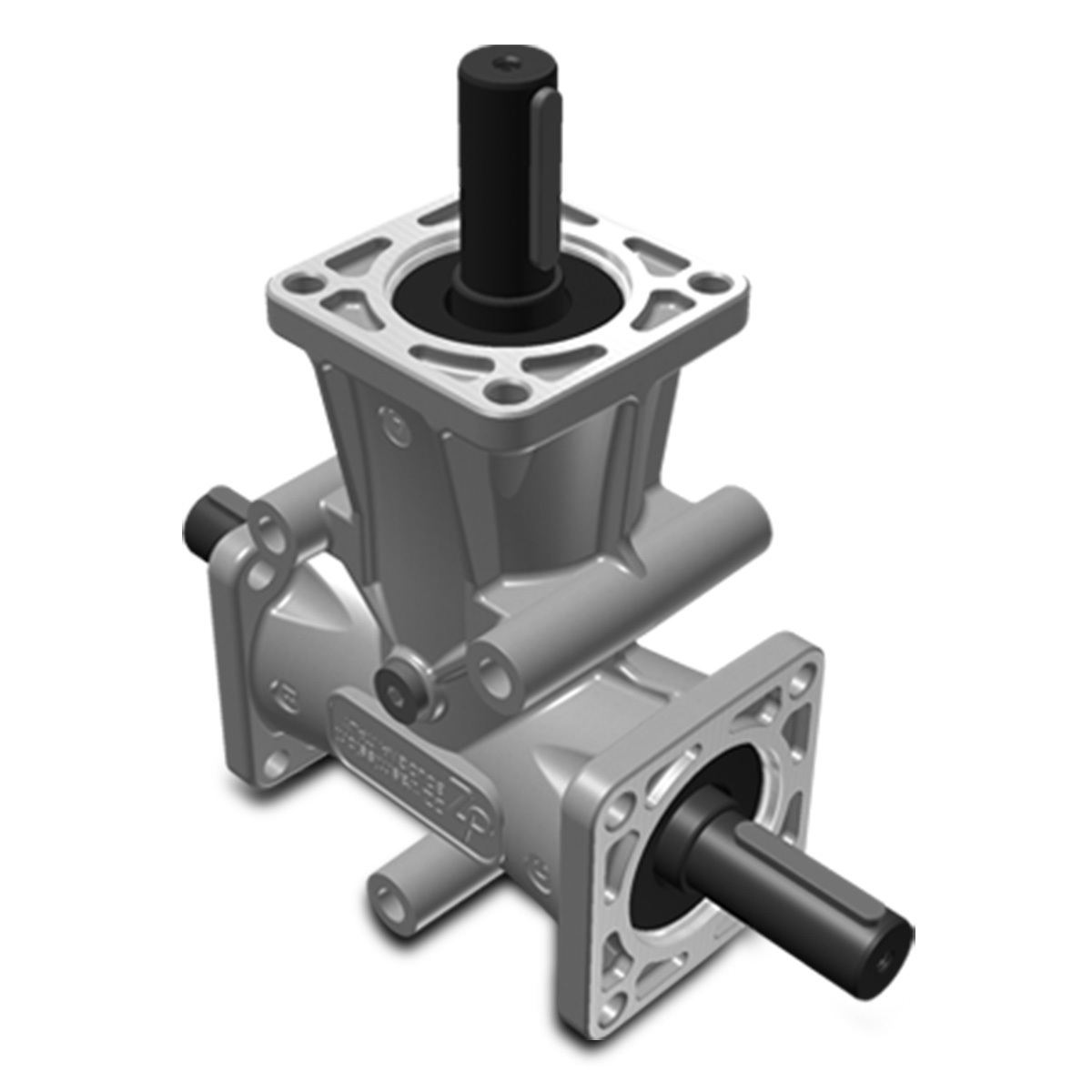 Taille 4 – Brides 3