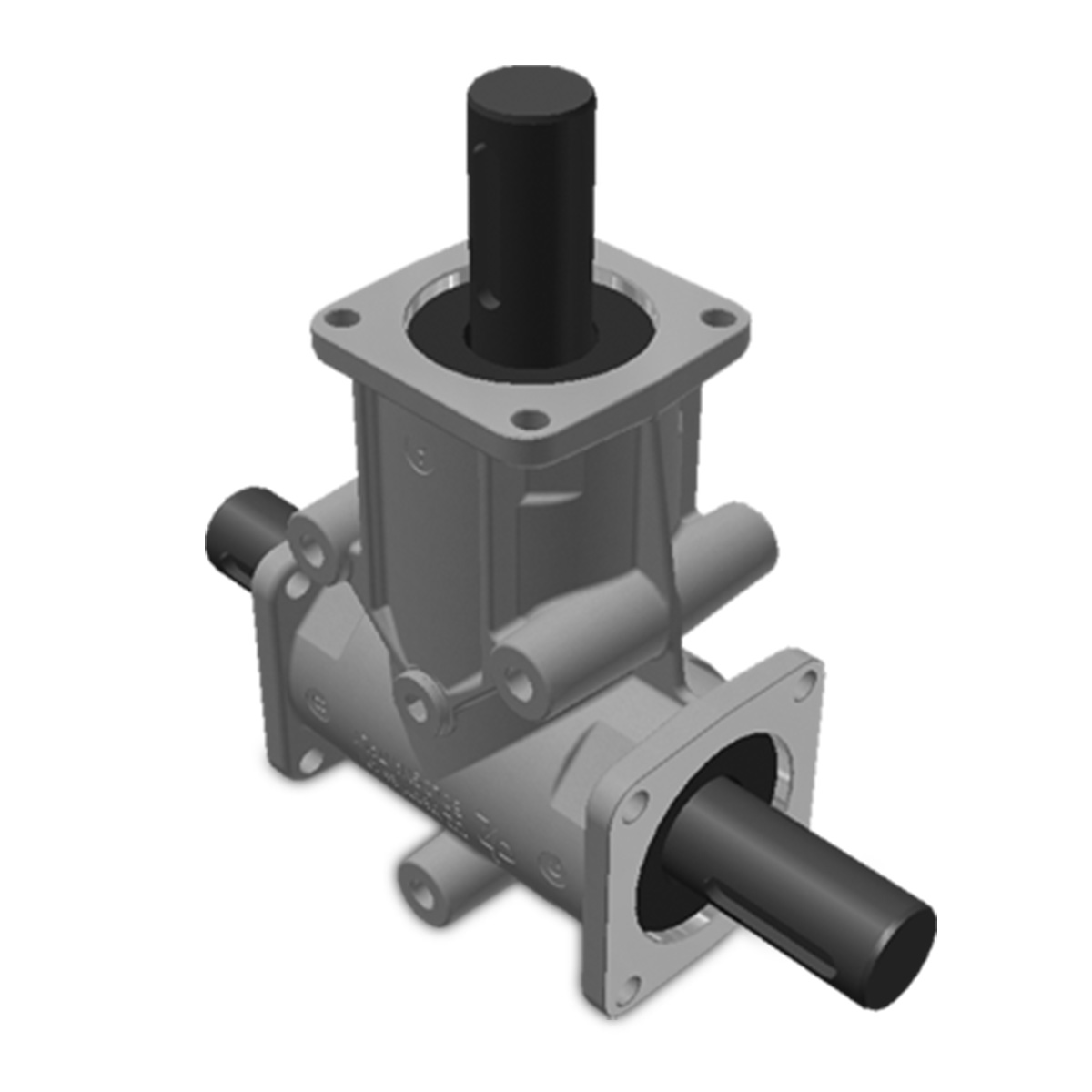 Taille 5 – Brides 3