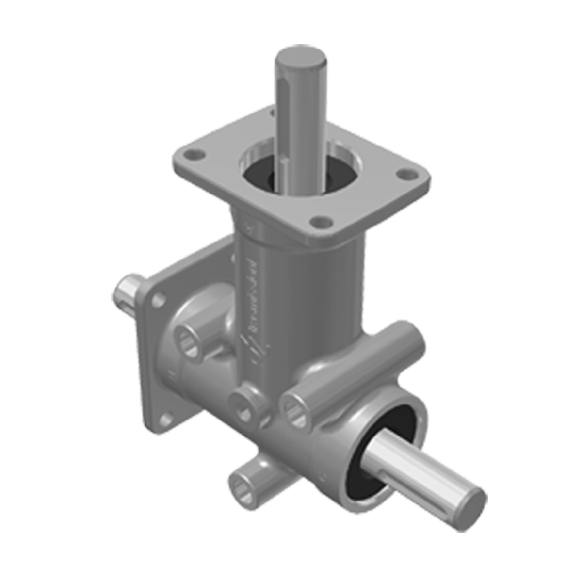 Taille 2 – Brides 2