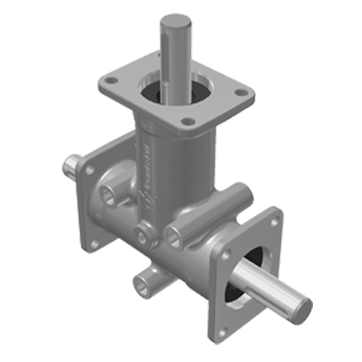 Taille 2 – Brides 3