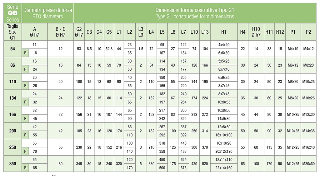 TYPE 21 DZ Trasmissioni