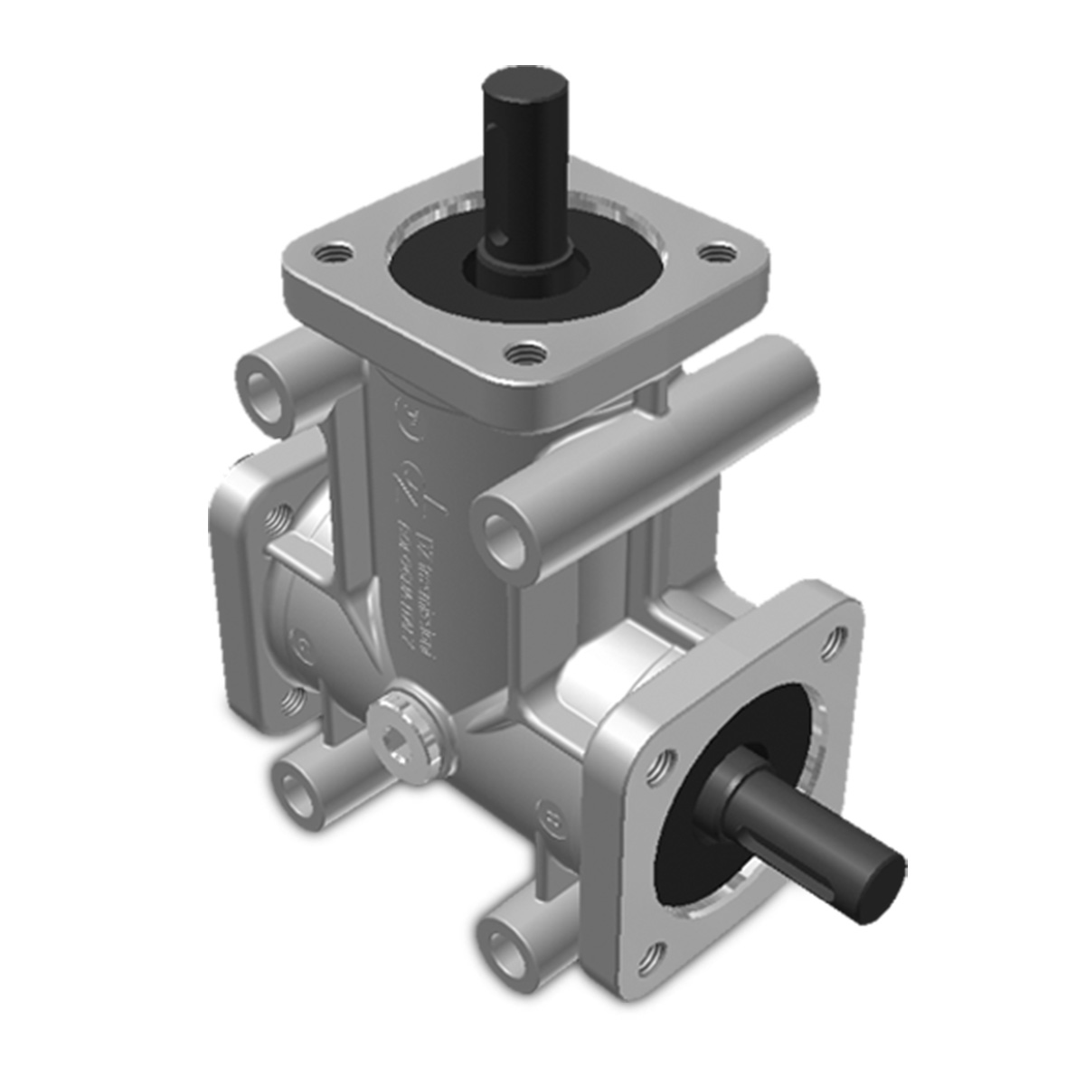 Taille 2 – Brides 3