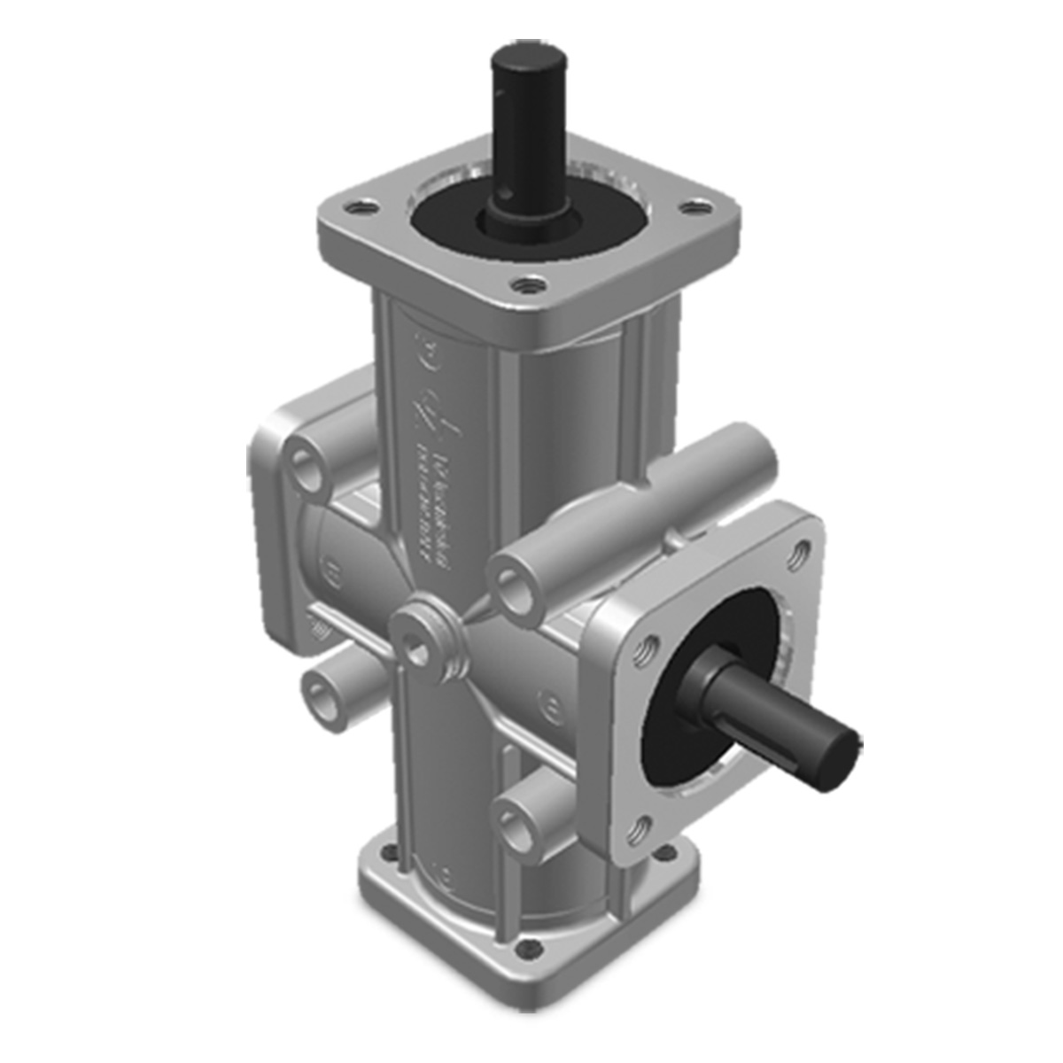 Taille 2 – Brides 4