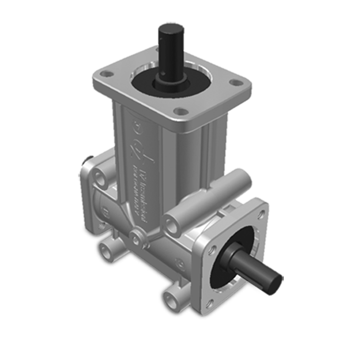 Taille 3 – Brides 3