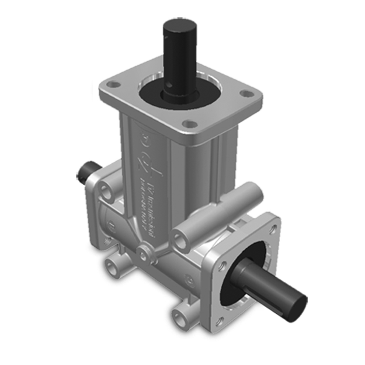 Taille 4 – Brides 3